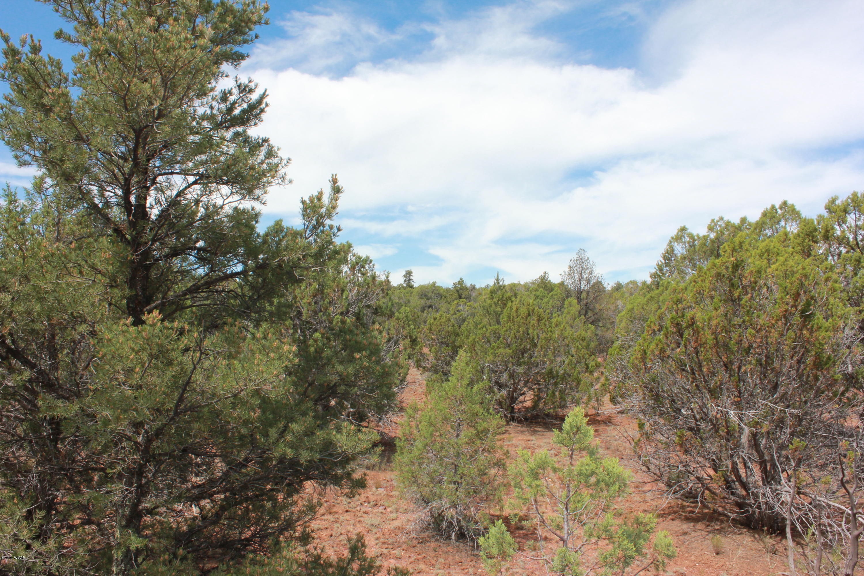 14a St Aripine Az 85933 Overgaard, AZ 85933 - Photo 25 of 35 a view of a covered with trees in the background