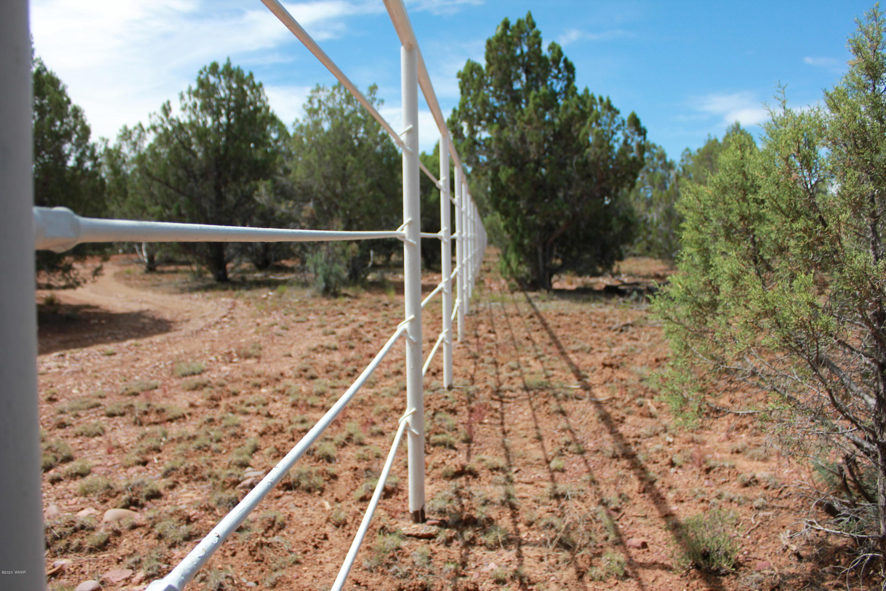 14a St Aripine Az 85933 Overgaard, AZ 85933 - Photo 26 of 35 a view of a yard