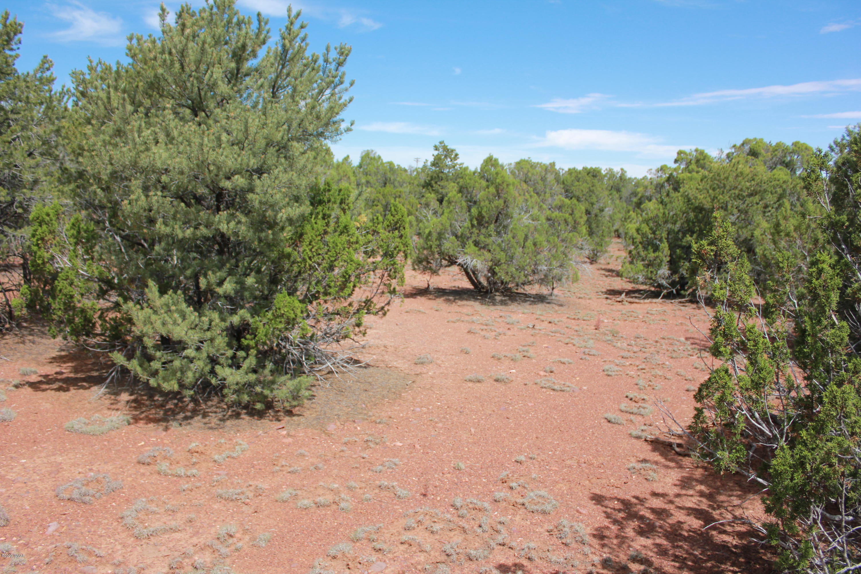 14a St Aripine Az 85933 Overgaard, AZ 85933 - Photo 28 of 35 a view of a dirt road with trees in the background