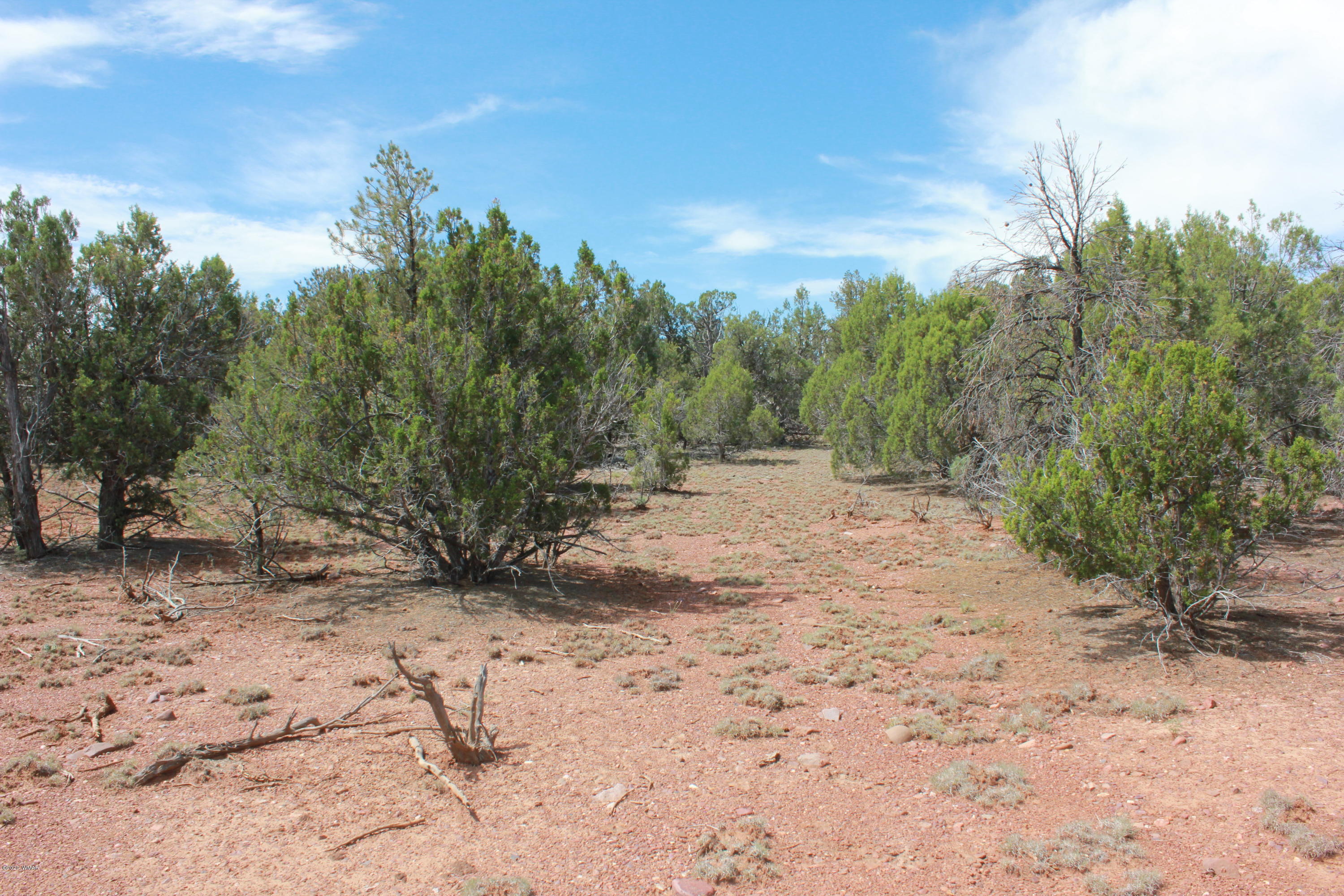 14a St Aripine Az 85933 Overgaard, AZ 85933 - Photo 30 of 35 a view of a yard with trees