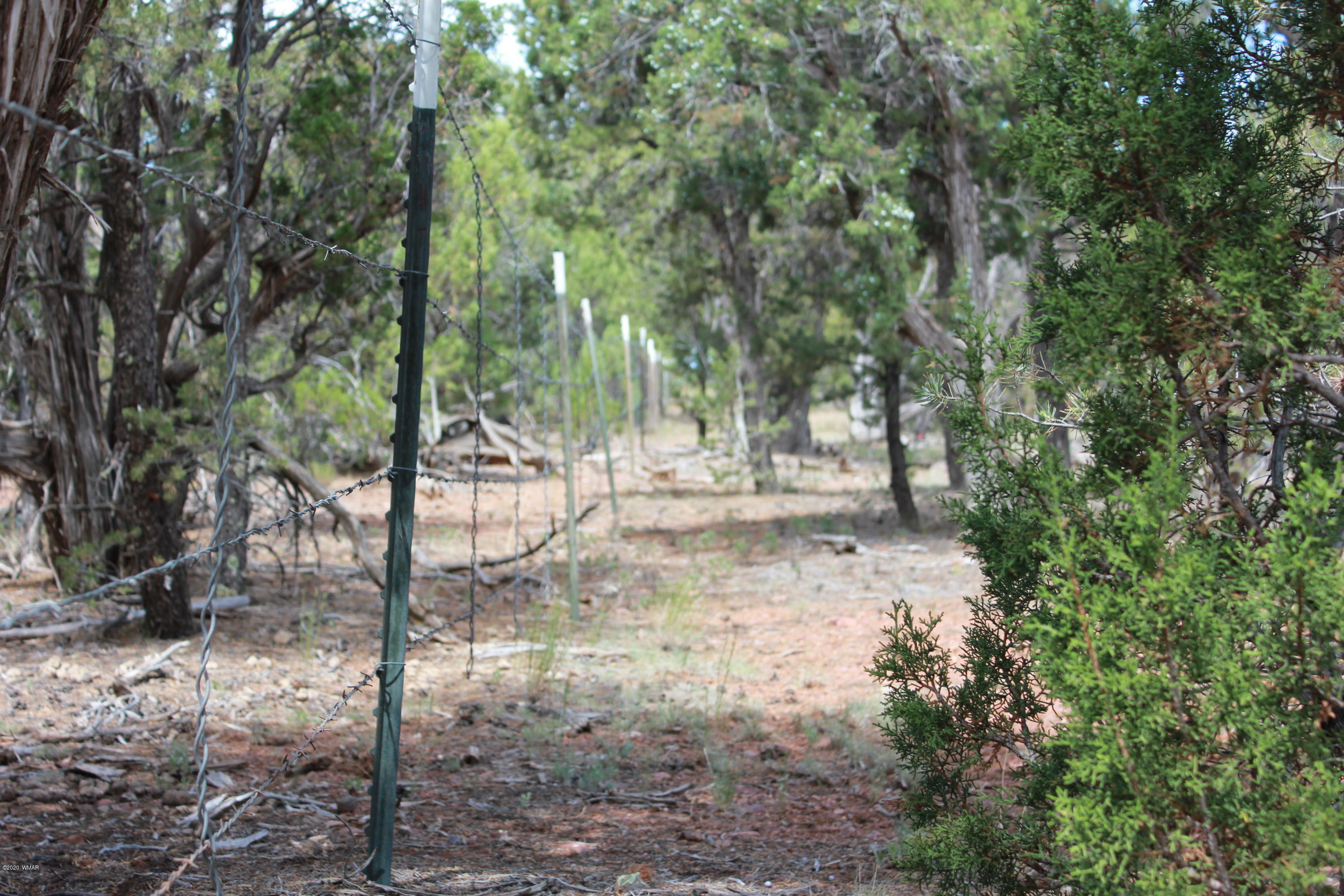 14a St Aripine Az 85933 Overgaard, AZ 85933 - Photo 32 of 35 a view of backyard with green space