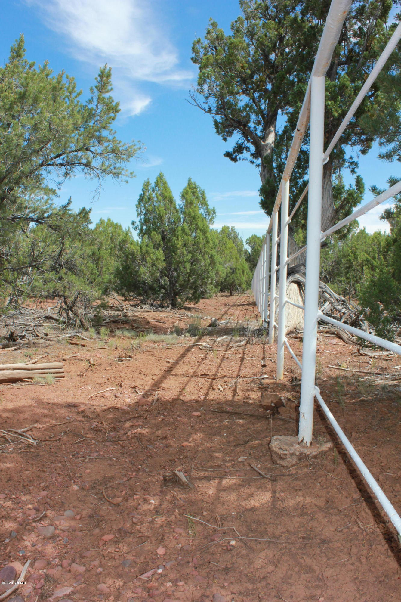 14a St Aripine Az 85933 Overgaard, AZ 85933 - Photo 9 of 35 a view of a road with an trees