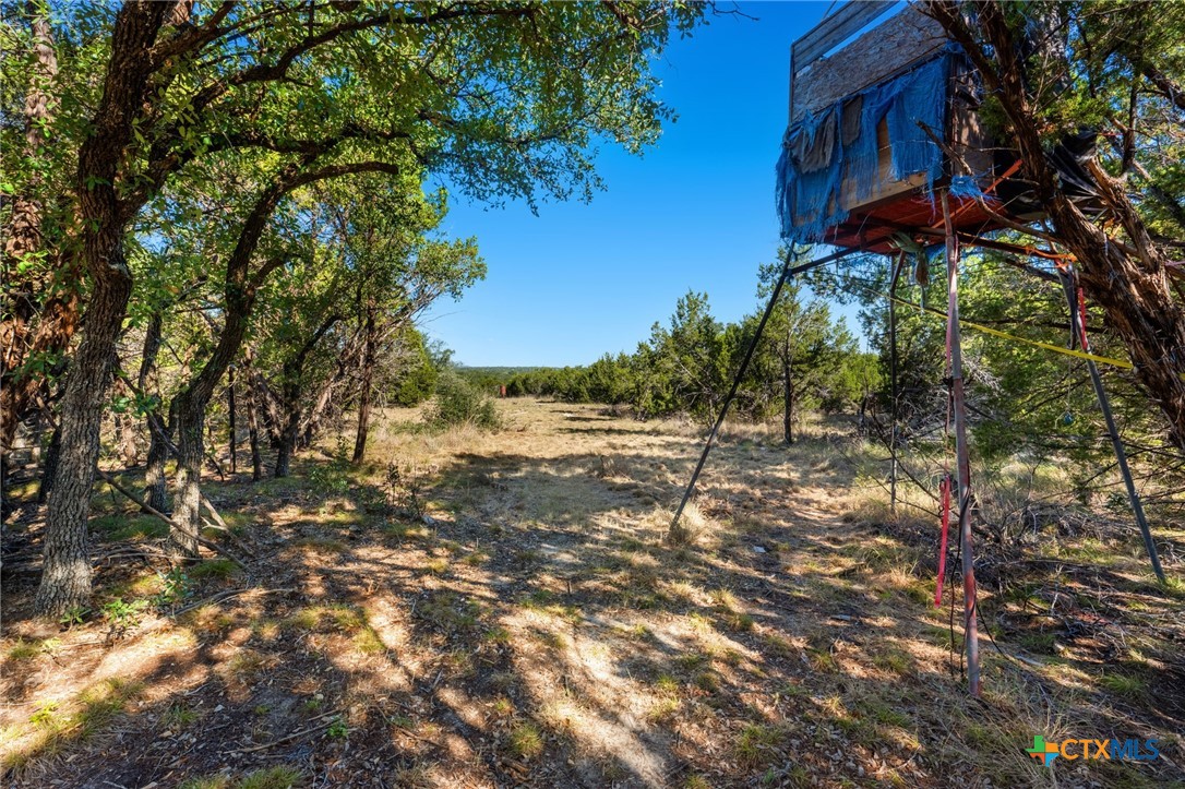 445 Beadle Road Gatesville, TX 76528 - Photo 35 of 41 Gallery Image 35