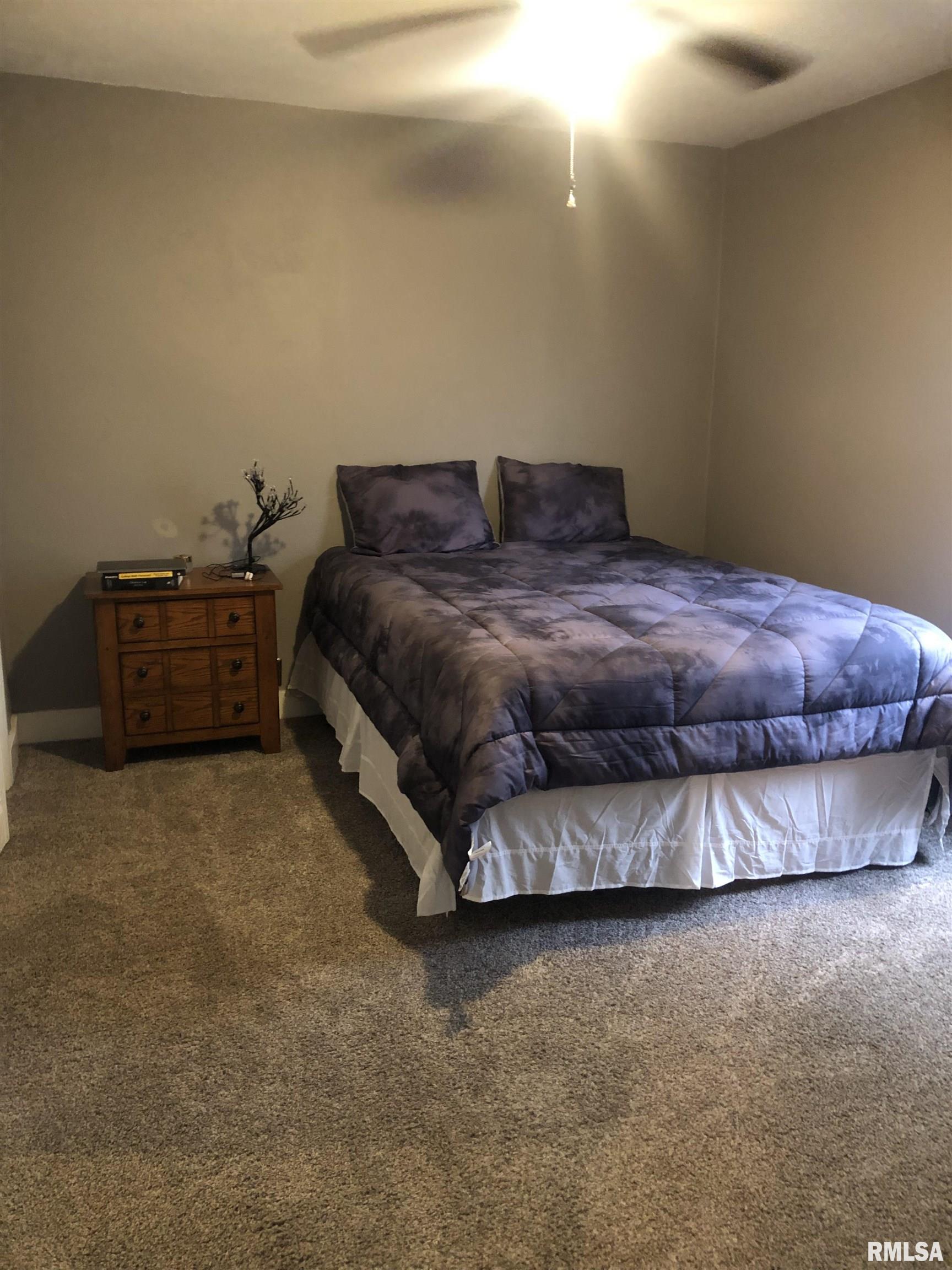 503 Main Street Golden, IL 62339 - Photo 10 of 23 Gallery Image 10