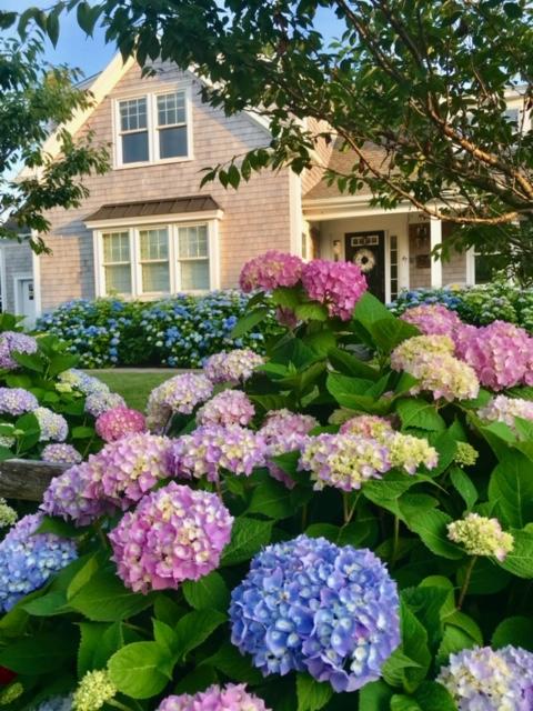 47 Briar Spring Road Orleans, MA 02653 - Photo 27 of 30 a front view of a house with yard and flowers in front of it