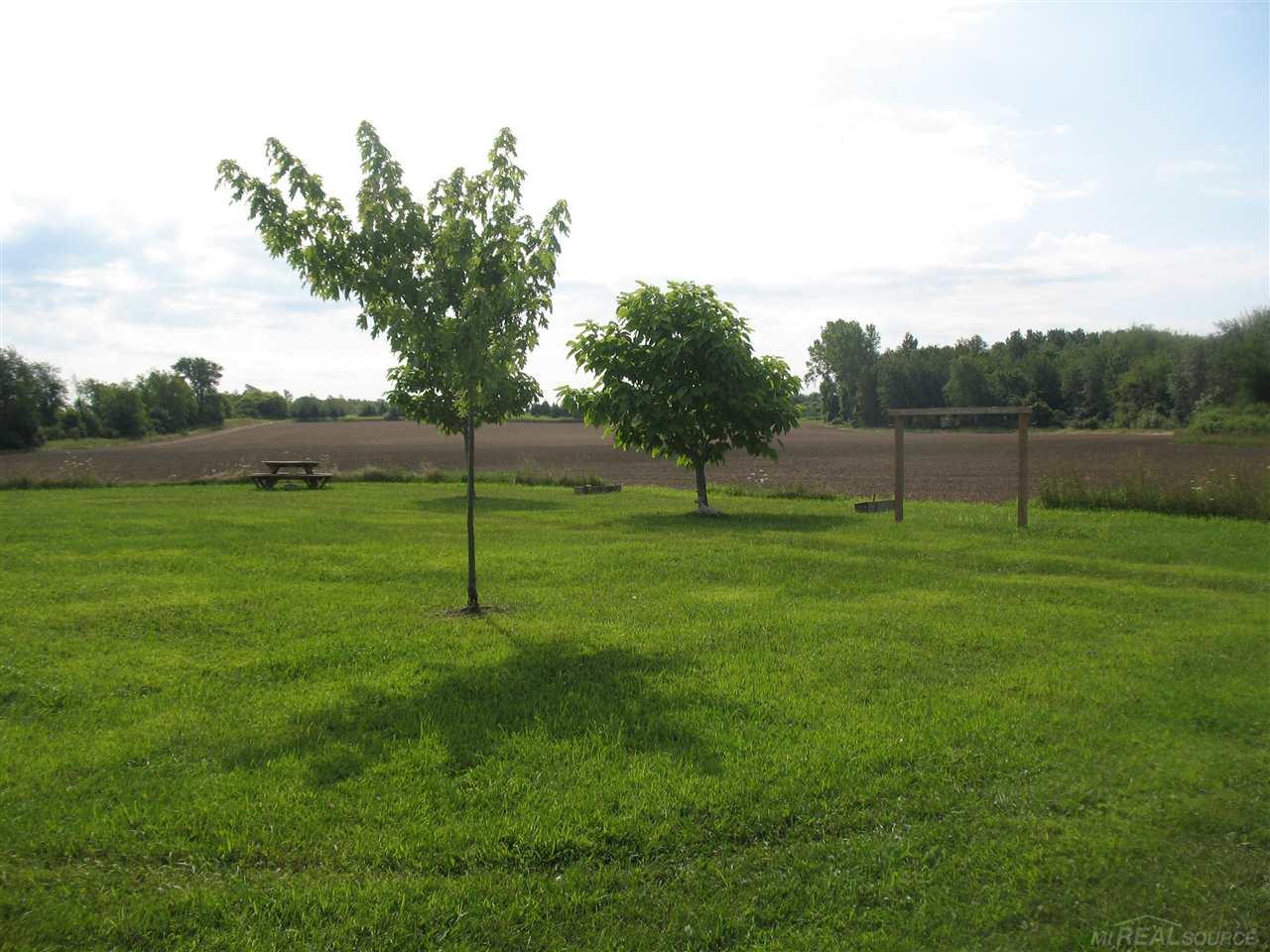 375 Charleston Road Ubly, MI 48475 - Photo 41 of 67