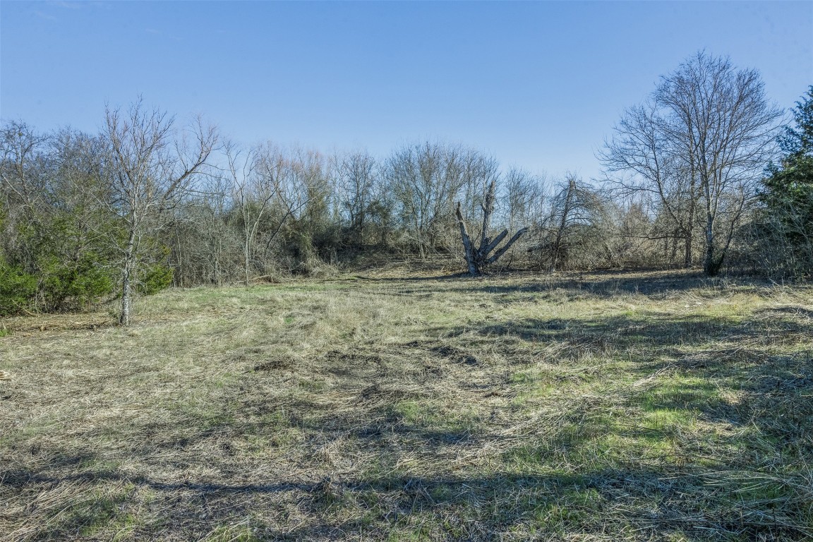 5 County Road 386 Groesbeck, TX 76642 - Photo 12 of 19 a view of a field with trees in background