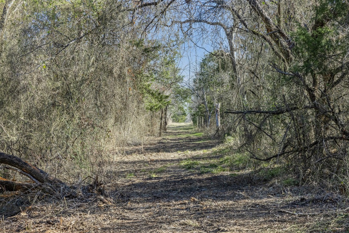 5 County Road 386 Groesbeck, TX 76642 - Photo 13 of 19 a view of a yard with large trees