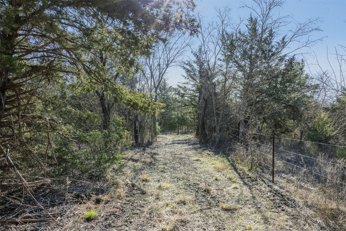 5 County Road 386 Groesbeck, TX 76642 - Photo 14 of 19 a view of a forest with trees in the background