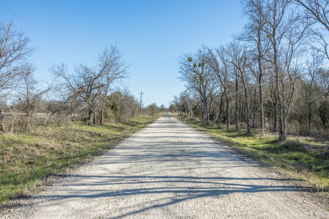 5 County Road 386 Groesbeck, TX 76642 - Photo 18 of 19 a view of a yard with large trees