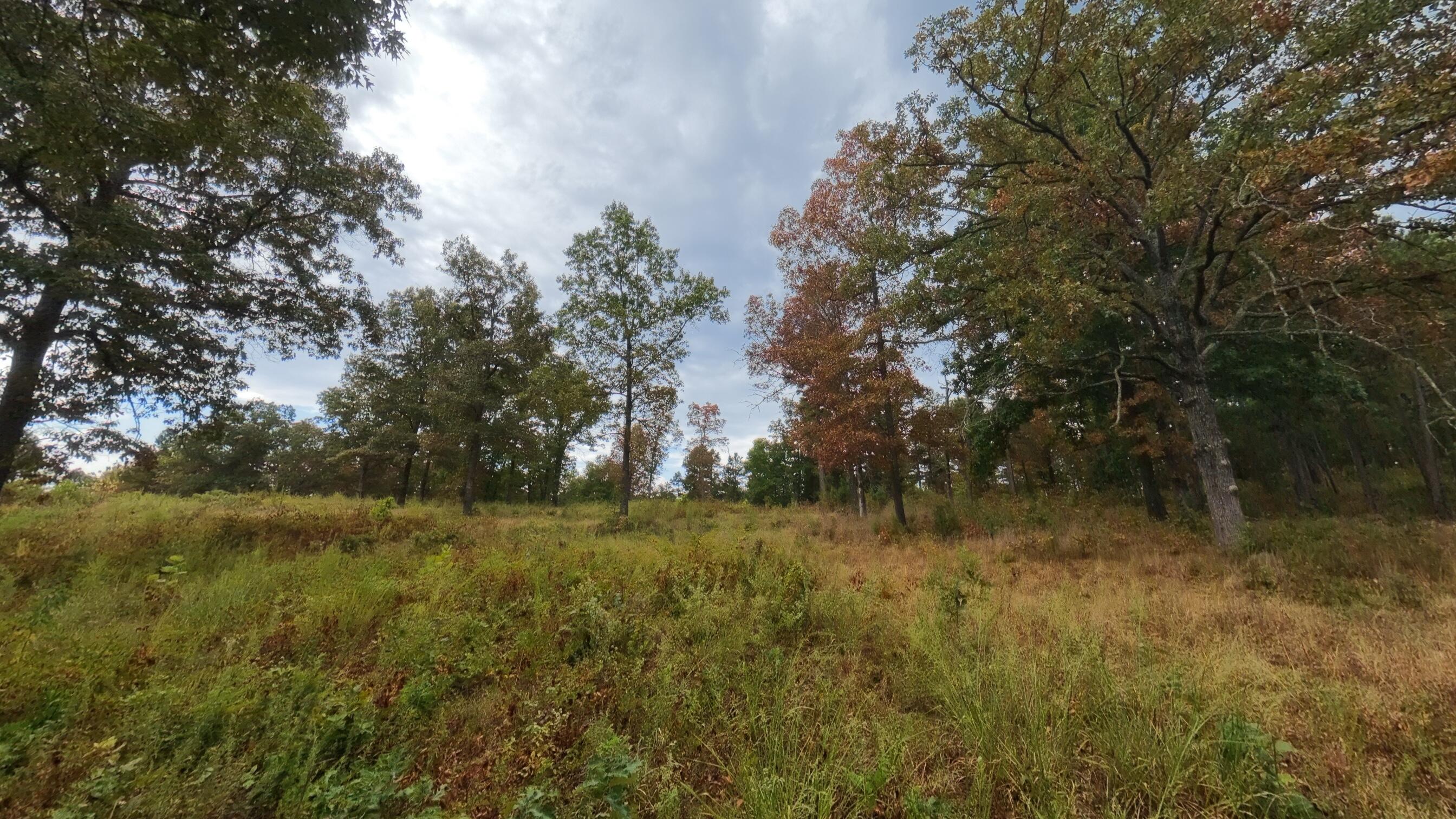 517 Sawmill Road Brockwell, AR 72517 - Photo 27 of 54 40 acres025
