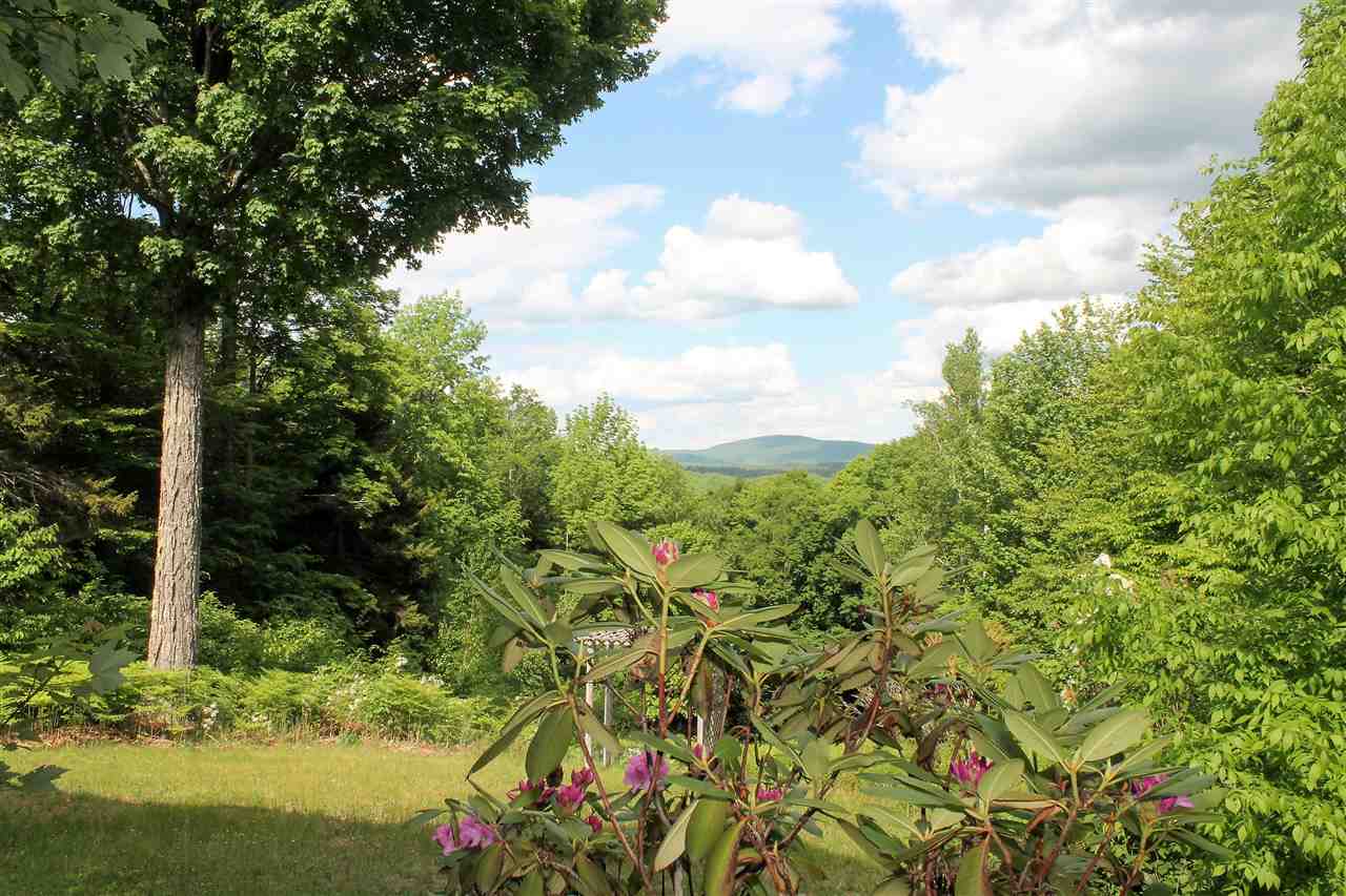 429 Rabbit Hollow Road Roxbury, VT 05669 - Photo 19 of 19