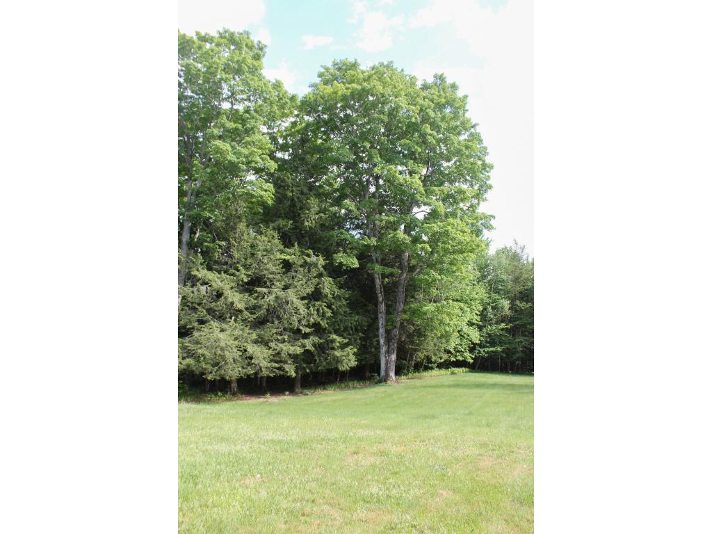 429 Rabbit Hollow Road Roxbury, VT 05669 - Photo 6 of 19