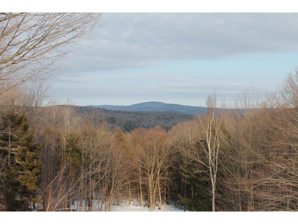429 Rabbit Hollow Road Roxbury, VT 05669 - Photo 8 of 19