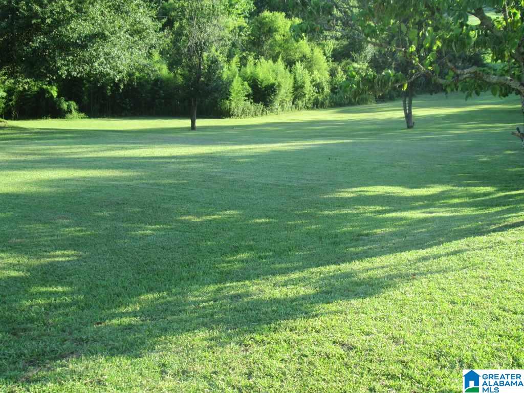 1548 Washington Valley Road Springville, AL 35146 - Photo 10 of 33 Gallery Image 10