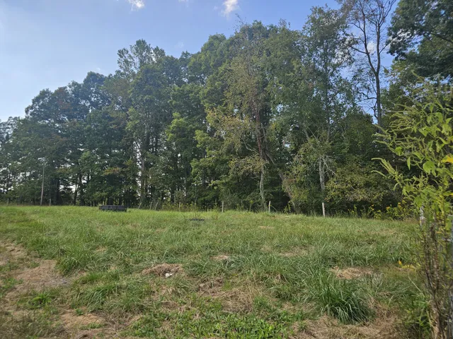 a view of a grassy field with trees in the background
