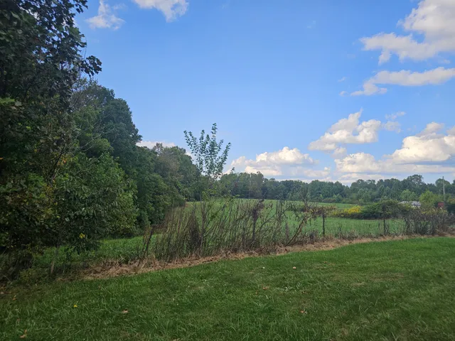 a view of a lake with a yard