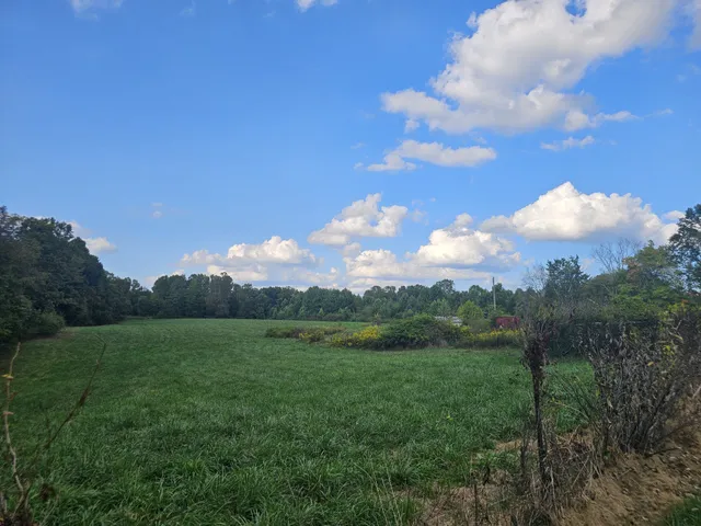 a view of an outdoor space and a yard