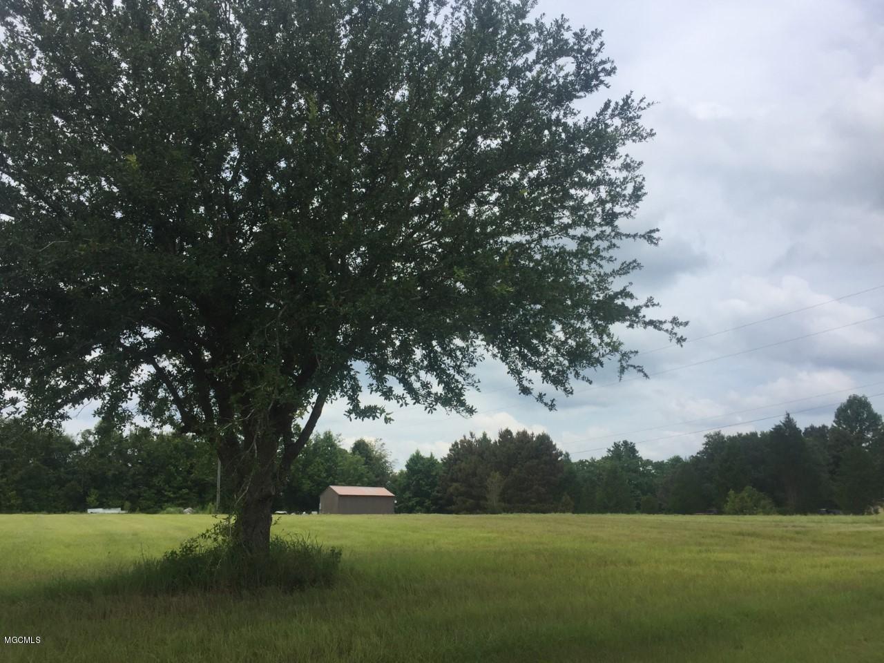 Nka Ramie Farm Road Lucedale, MS 39452 - Photo 1 of 2 thumbnail_IMG_0953
