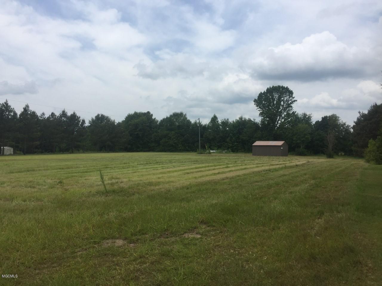 Nka Ramie Farm Road Lucedale, MS 39452 - Photo 2 of 2 thumbnail_IMG_0954