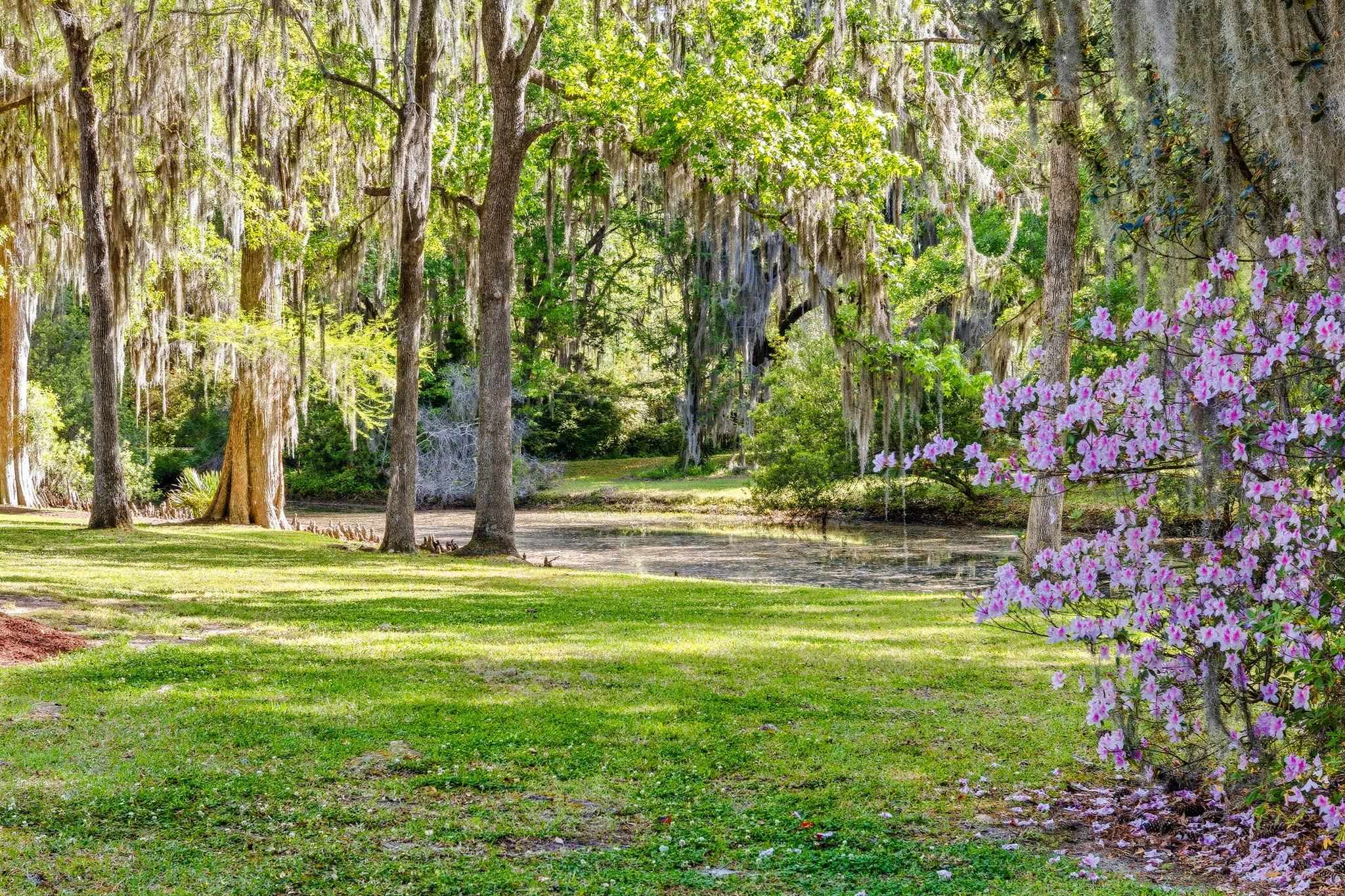 11 Chapel Creek Road, Unit 11 Pawleys Island, SC 29585 - Photo 58 of 73