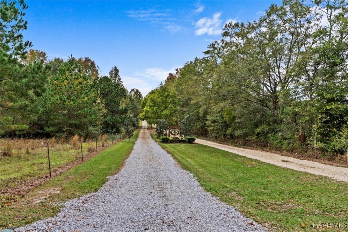 431 Johnny Murphy Road Dothan, AL 36301 - Photo 59 of 75 Gallery Image 59