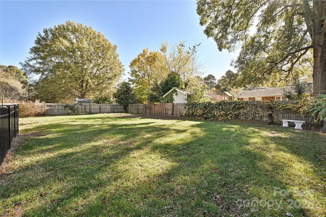 a view of yard with trees