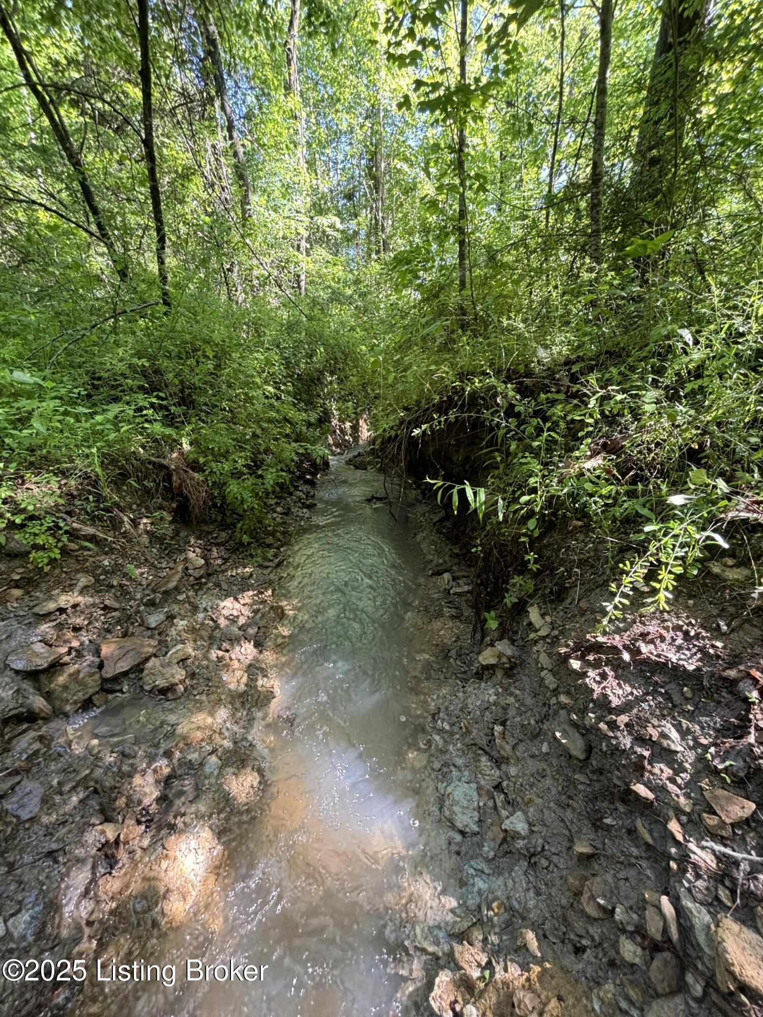0 Dry Fork Road Raywick, KY 40060 - Photo 11 of 11 greenwell pic 12