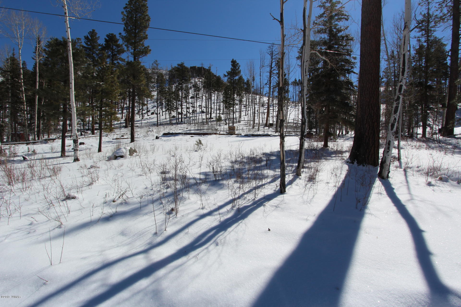 6 Lee Valley Greer, AZ 85927 - Photo 1 of 6