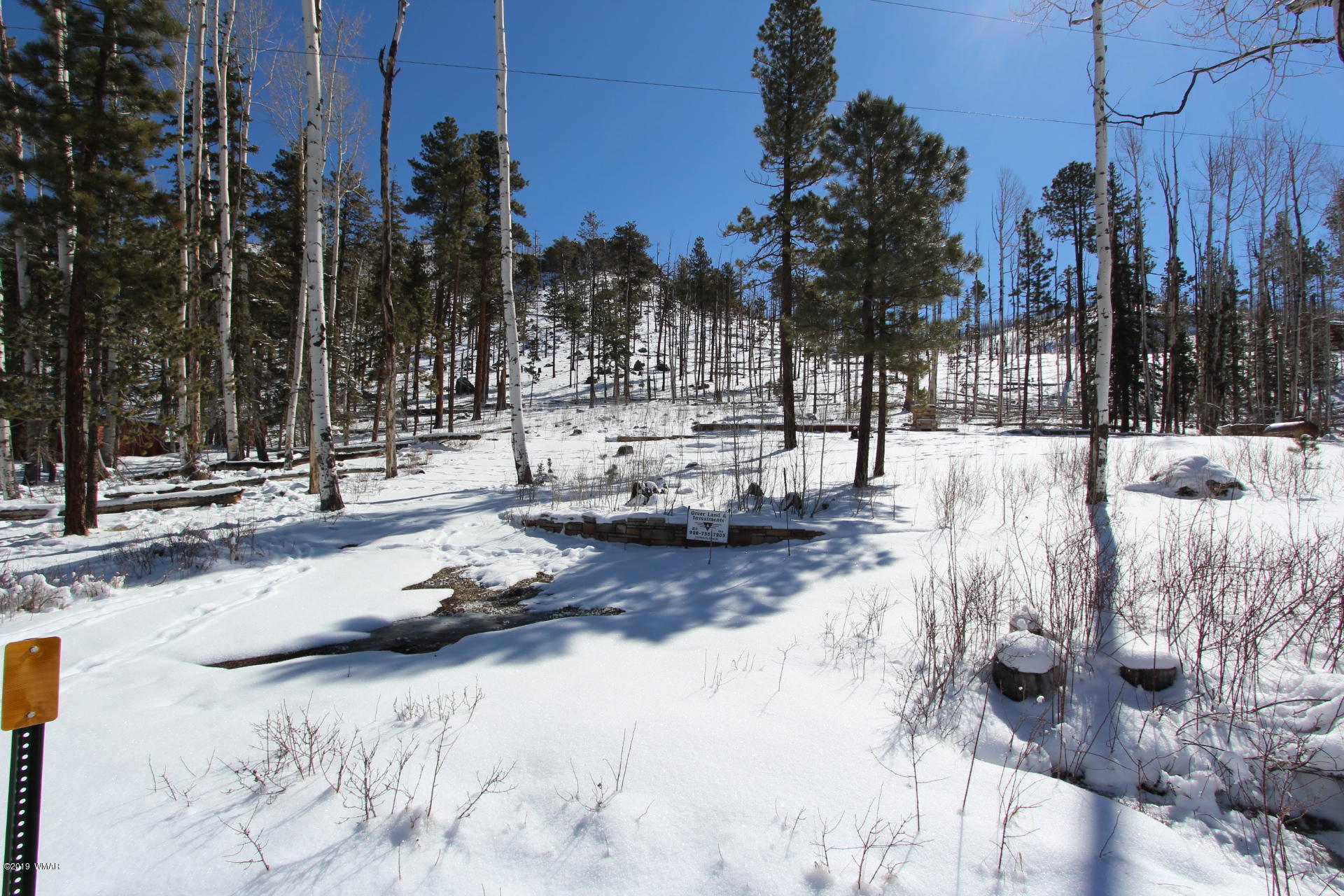 6 Lee Valley Greer, AZ 85927 - Photo 2 of 6 a view of outdoor space with patio