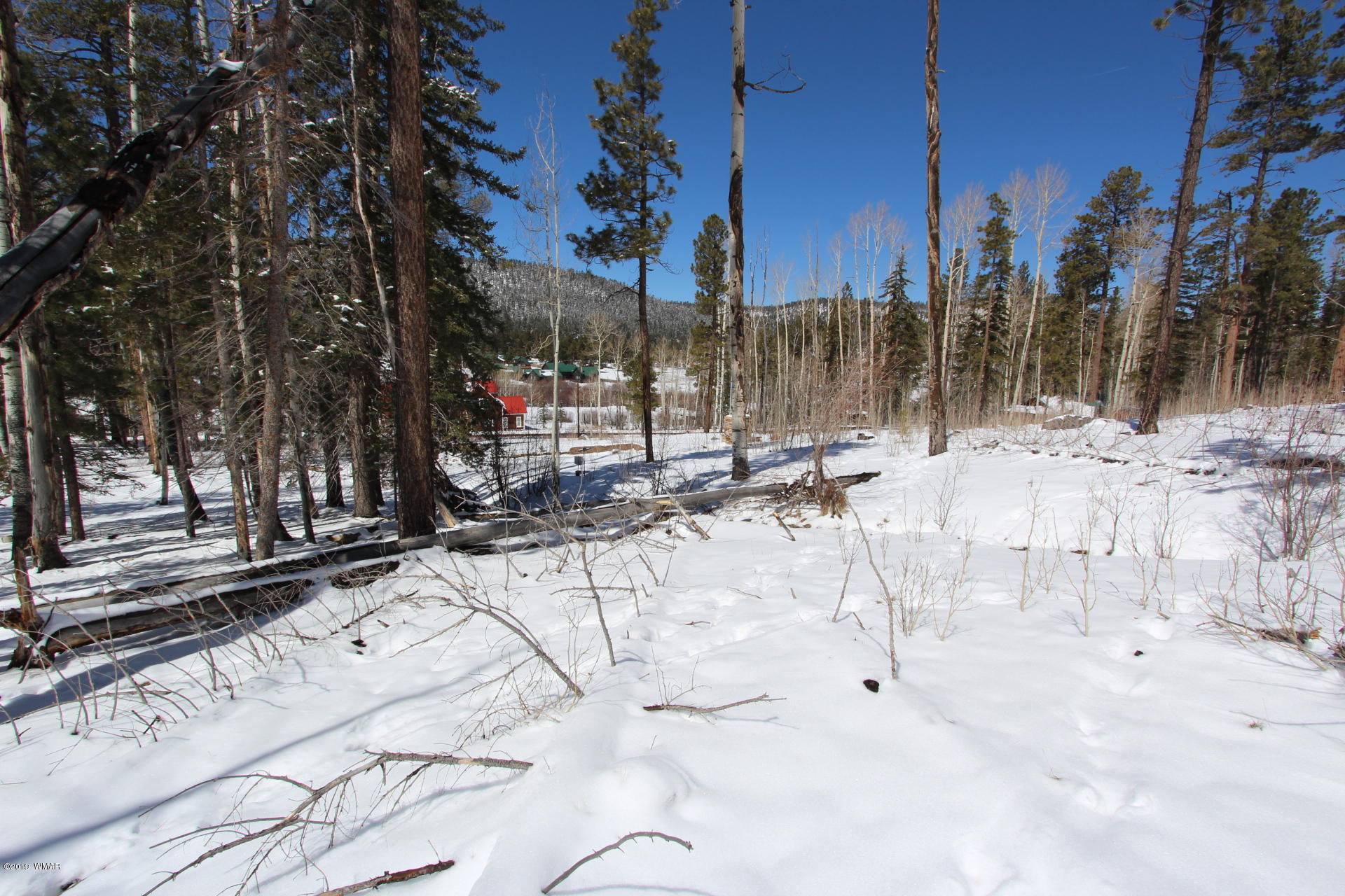 6 Lee Valley Greer, AZ 85927 - Photo 3 of 6 a view of wooden fence and trees