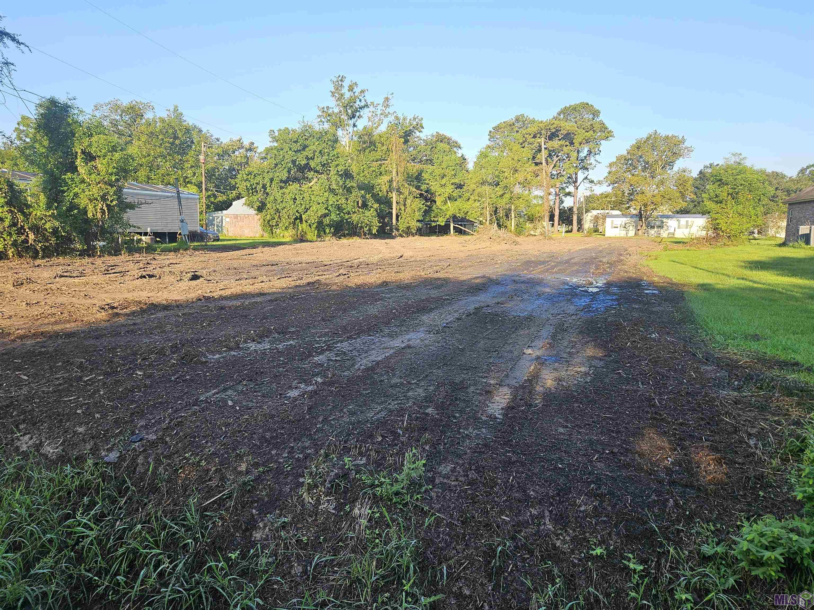 10495 Savoy Road St. Amant, LA 70774 - Photo 4 of 7