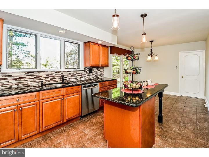 101 Wood Spring Road Ambler, PA 19002 - Photo 8 of 25 Gallery Image 8