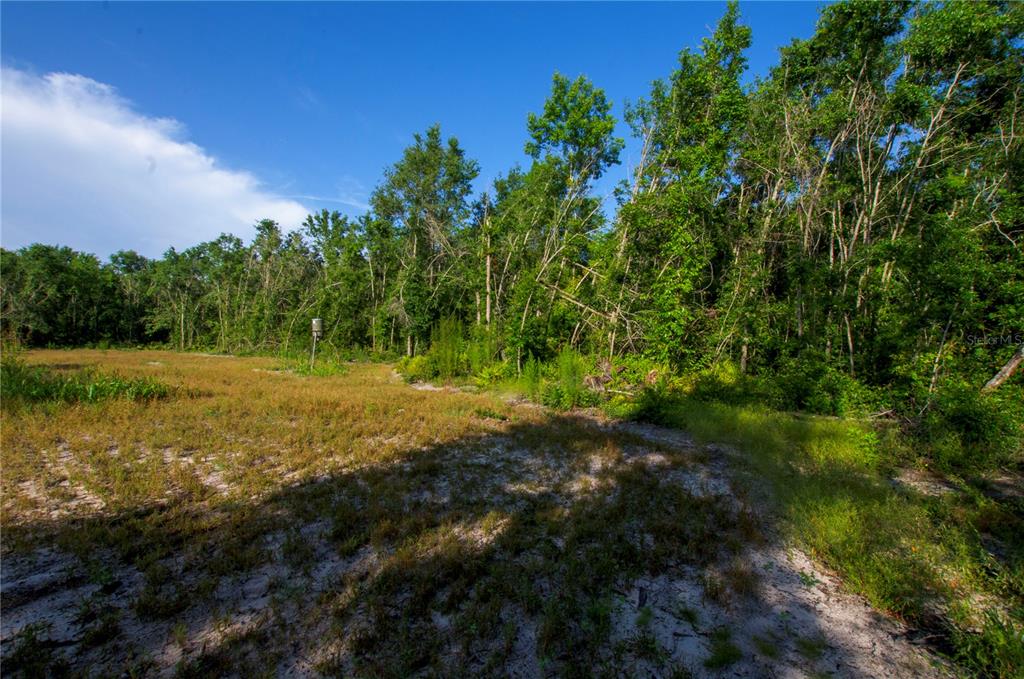 18233 185th Road Live Oak, FL 32060 - Photo 71 of 99