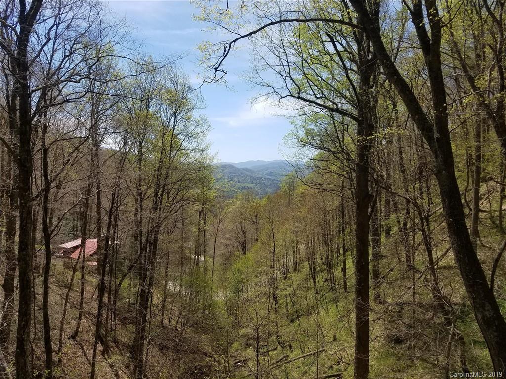 149 Irwin Way Clyde, NC 28721 - Photo 16 of 29 a view of a forest