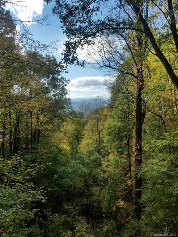 149 Irwin Way Clyde, NC 28721 - Photo 24 of 29