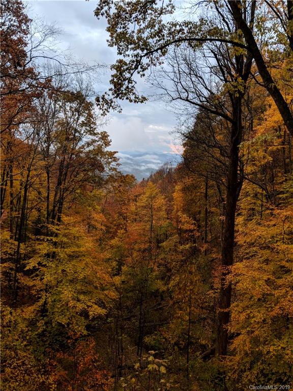 149 Irwin Way Clyde, NC 28721 - Photo 28 of 29 a view of a yard with lots of trees
