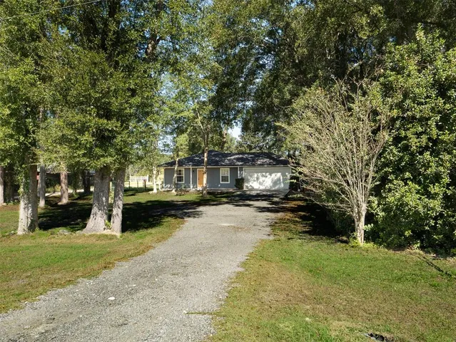 a view of a yard with plants and a trees