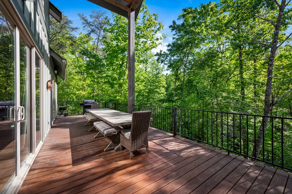 152 North Hiawatha Trail Blue Ridge, GA 30513 - Photo 62 of 101 Gallery Image 62