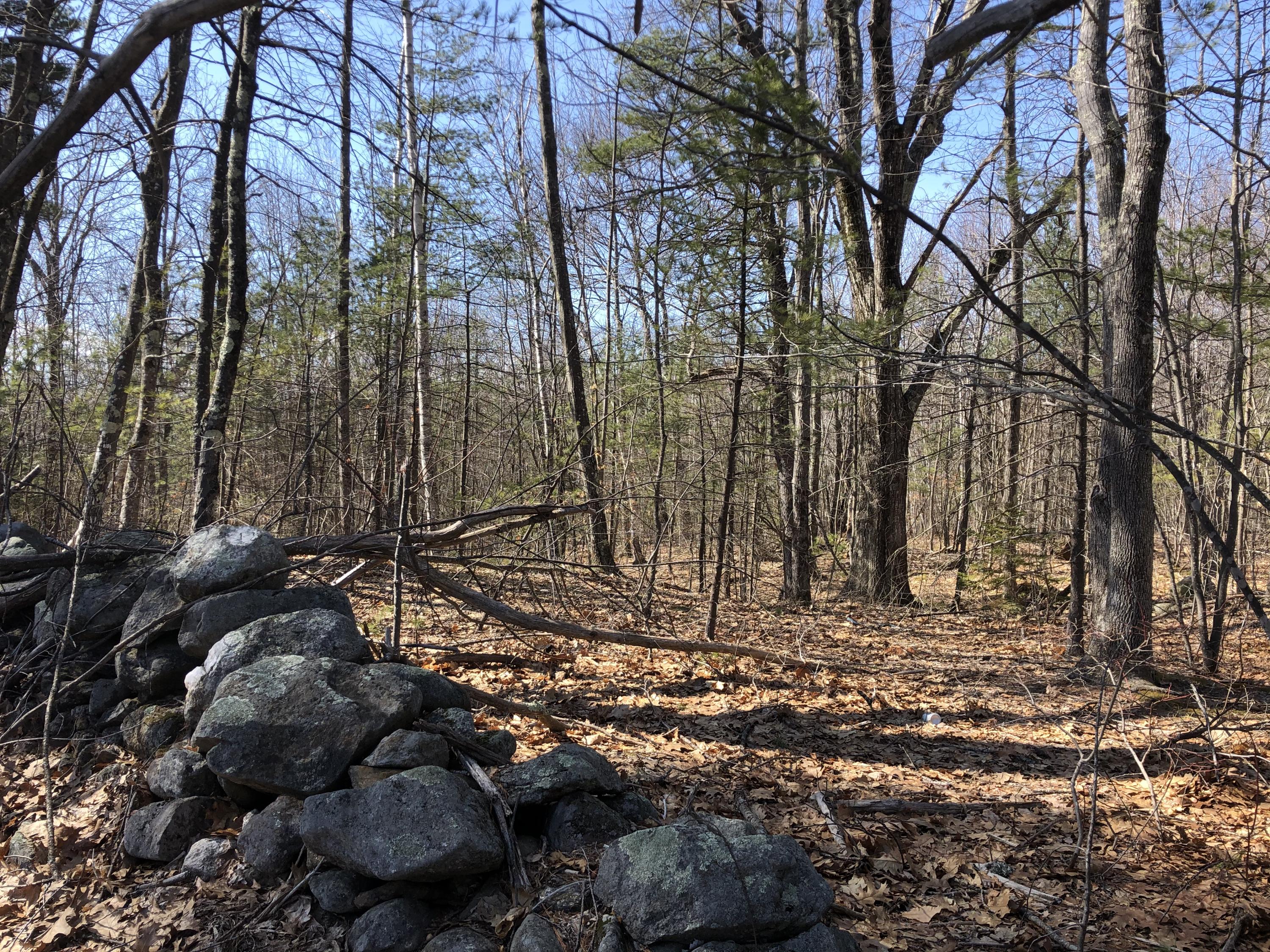 0 Knight Road East Waterboro, ME 04030 - Photo 1 of 20 stone wall2