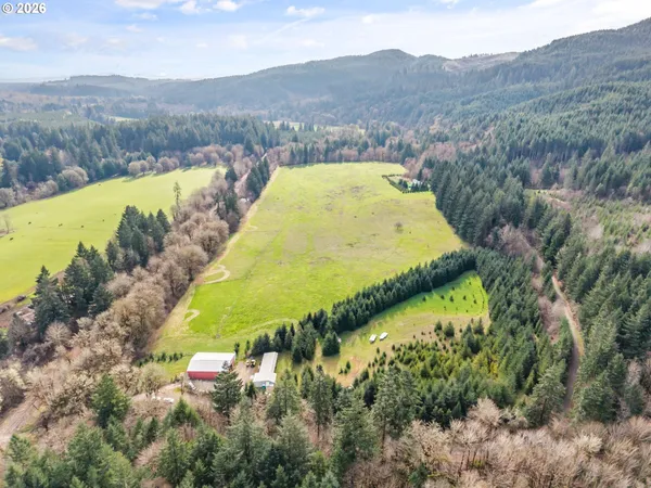 a view of a swimming pool with a yard
