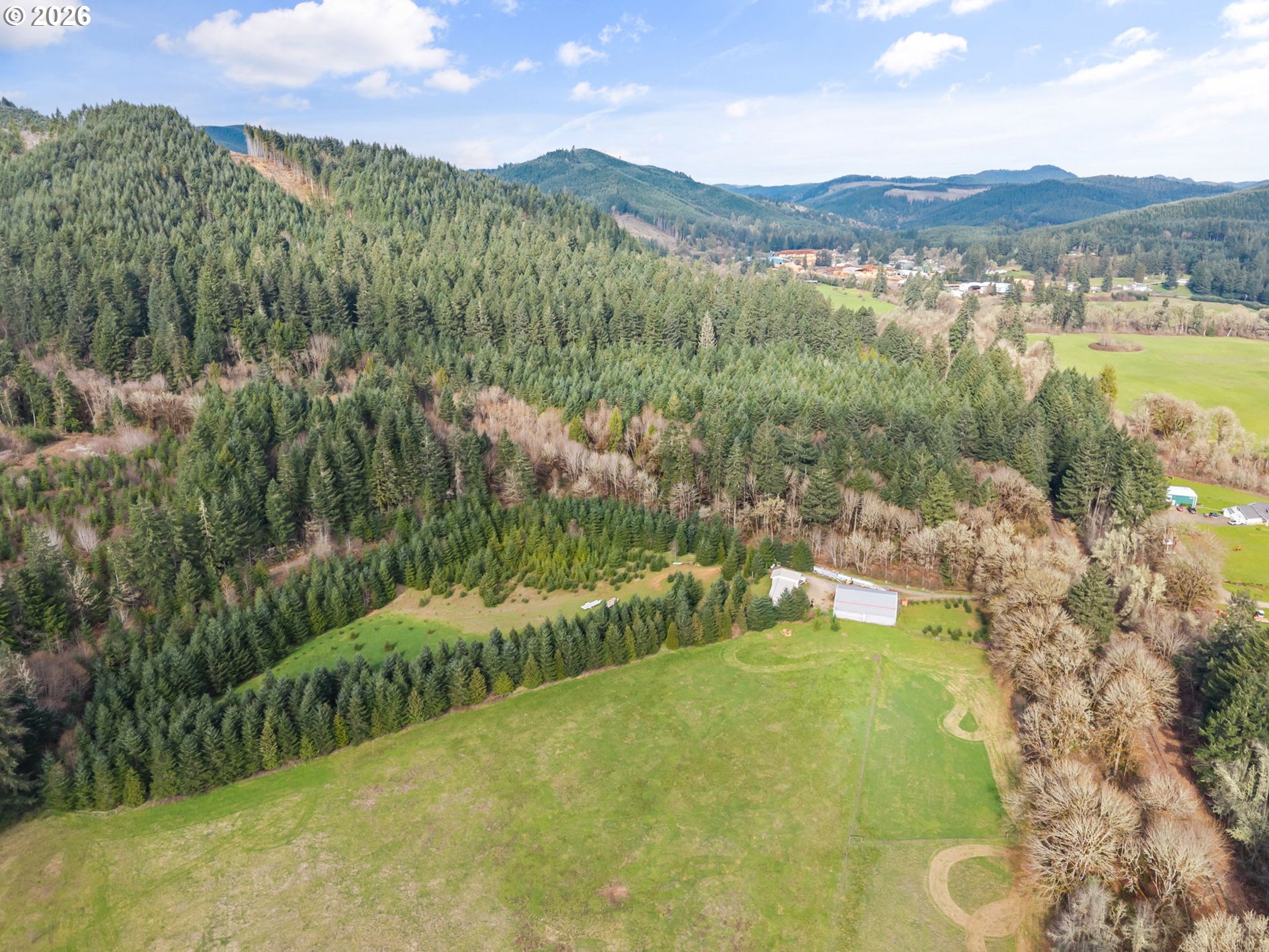 22994 Red Oak Lane Veneta, OR 97487 - Photo 14 of 28 a view of a lake with a mountain in the background