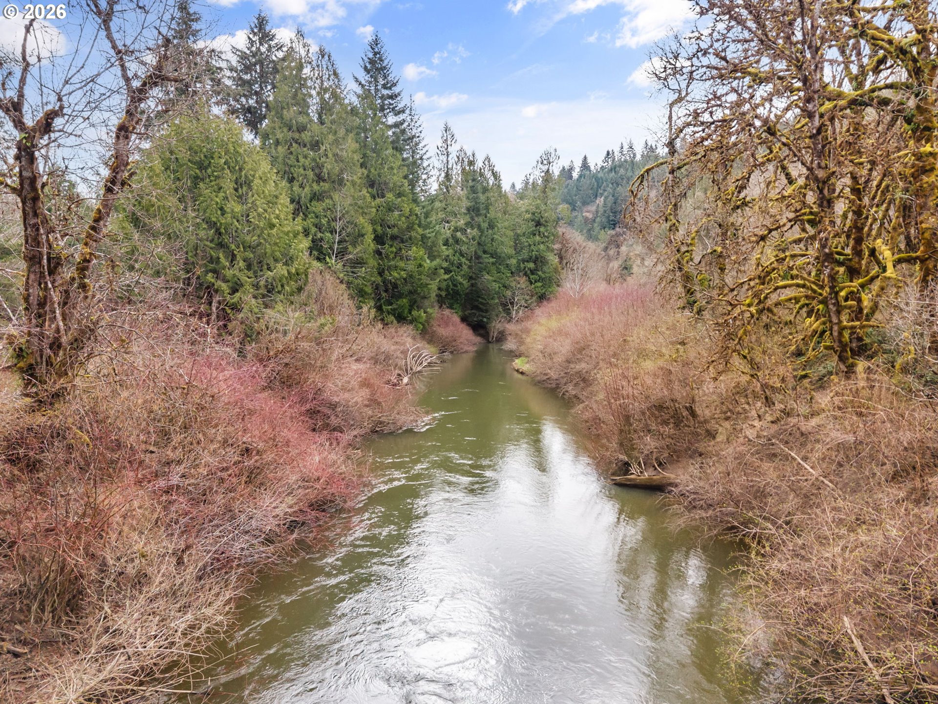 22994 Red Oak Lane Veneta, OR 97487 - Photo 4 of 28 a view of a lake with trees