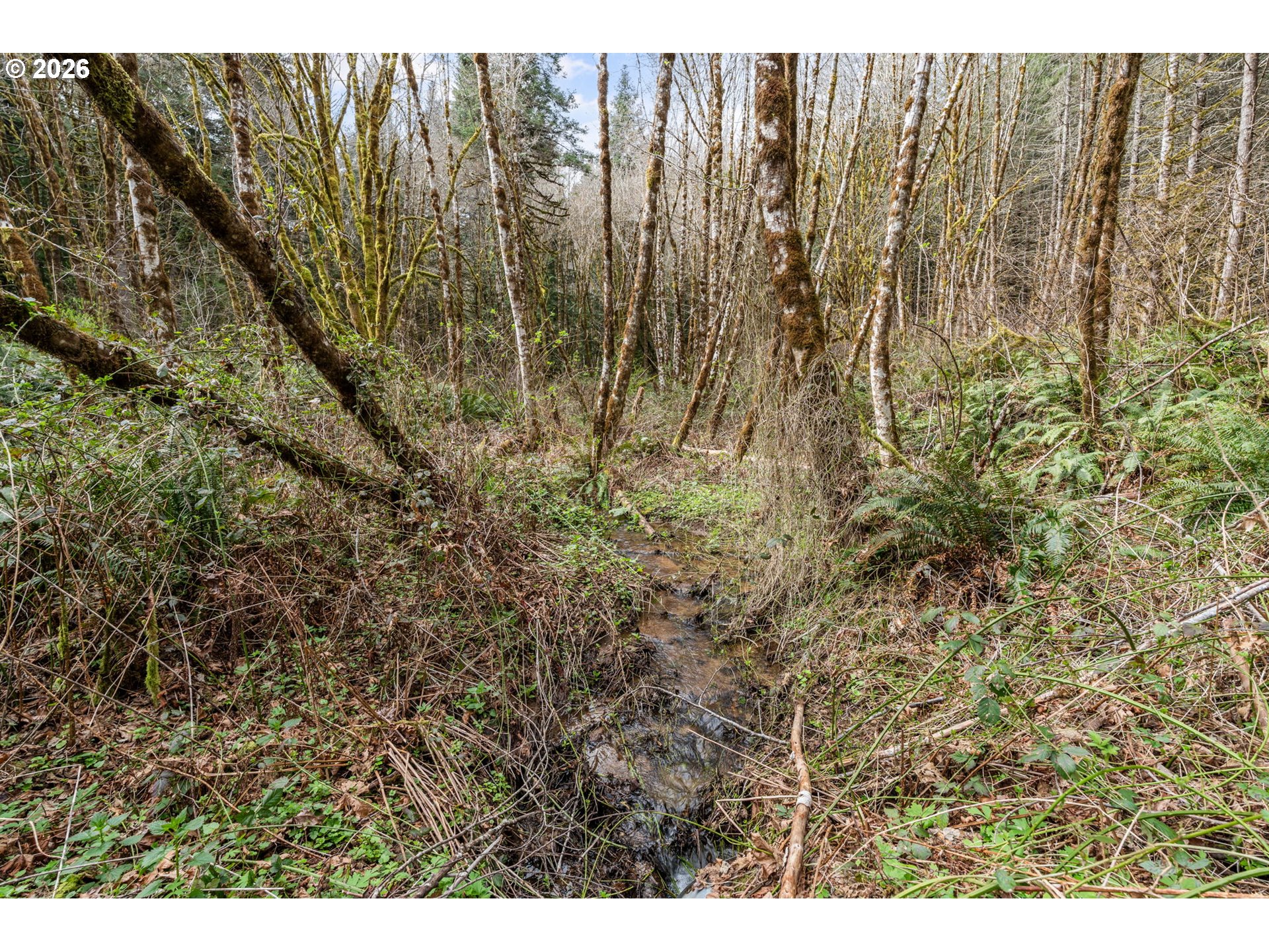 22994 Red Oak Lane Veneta, OR 97487 - Photo 10 of 28