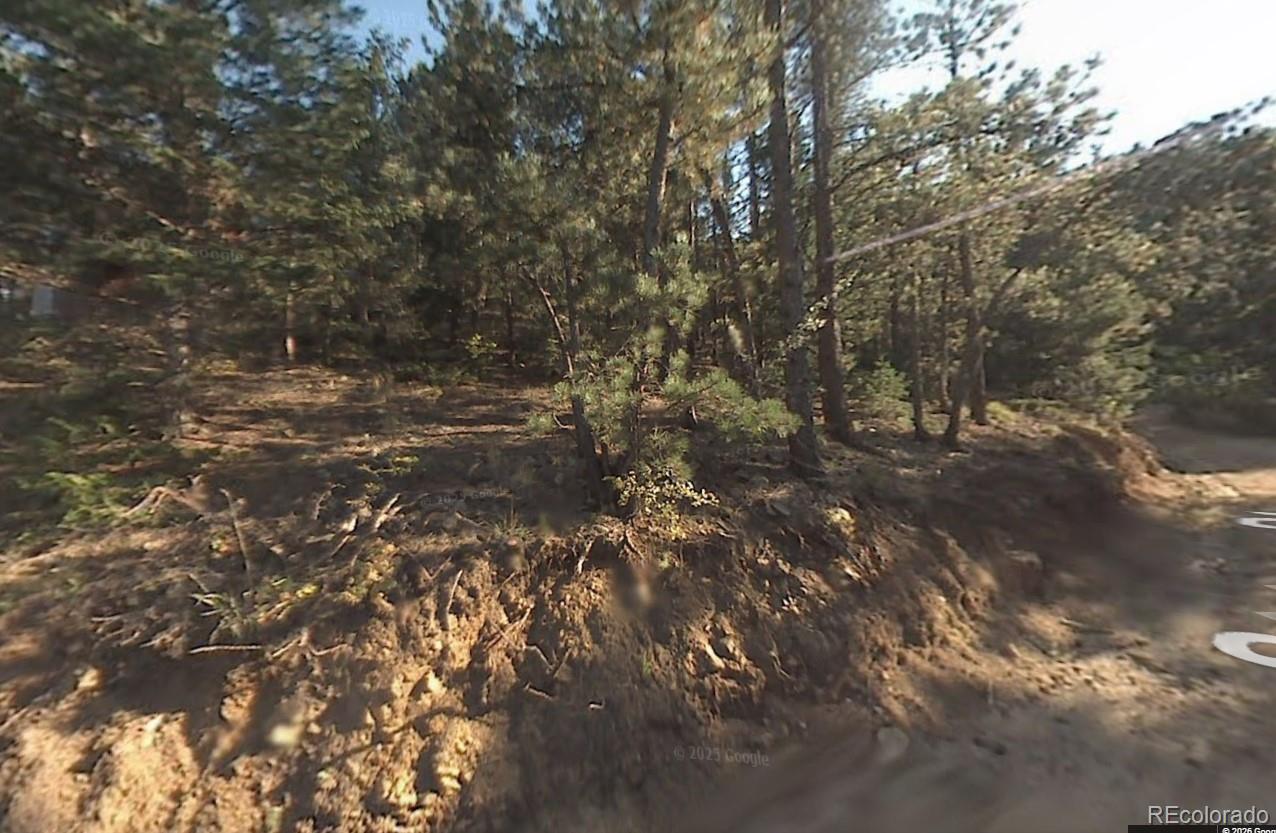 155 Spruce Street Jamestown, CO 80455 - Photo 2 of 5