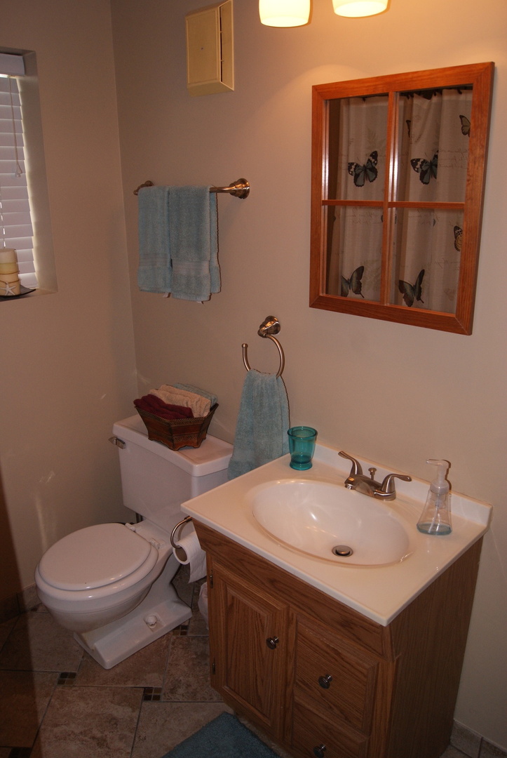 10821 Menard Avenue Chicago Ridge, IL 60415 - Photo 33 of 37
