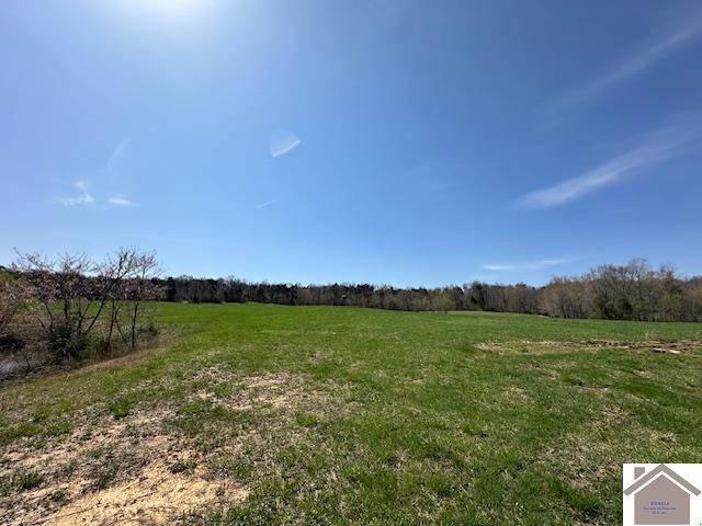 0 Markham Road Dawson Springs, KY 42408 - Photo 5 of 9 Photo 5