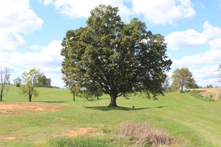 951 Thurman Road Somerset, KY 42503 - Photo 30 of 118 IMG_4958