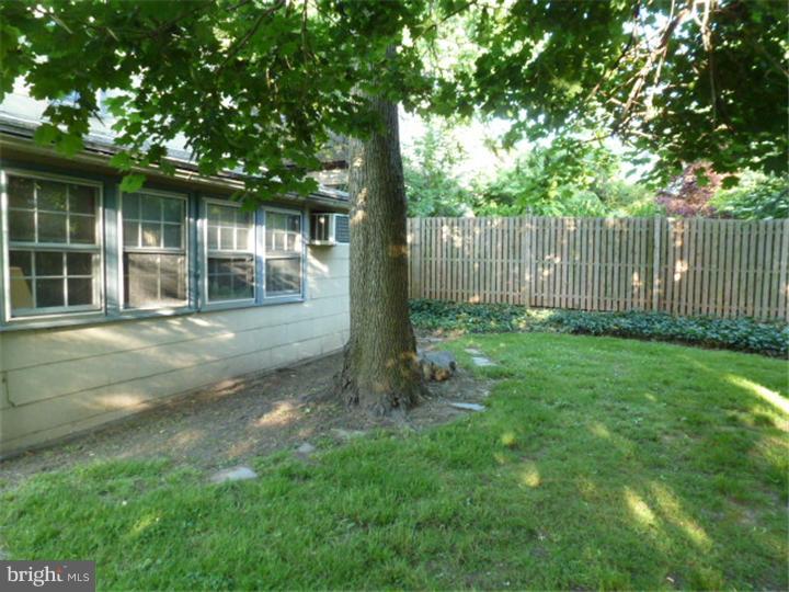 138 Henley Road Wynnewood, PA 19096 - Photo 24 of 24 Back Yard