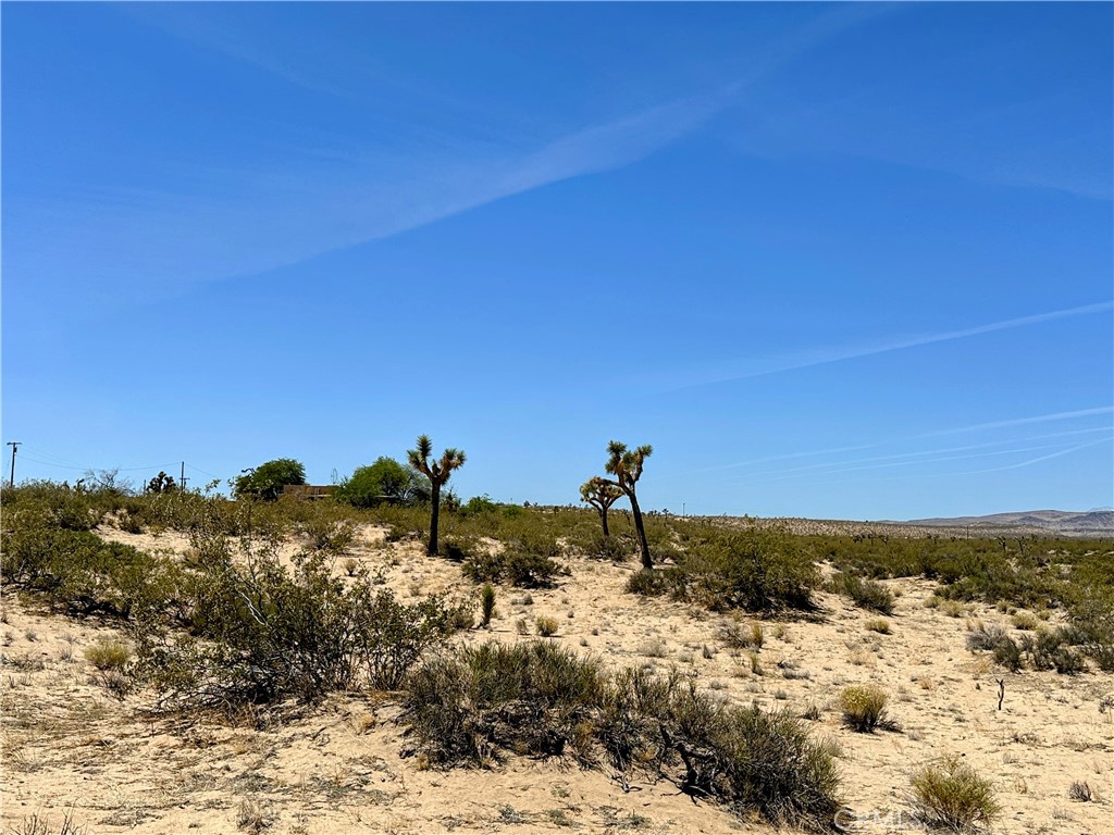 0 Amargo Road Landers, CA 92285 - Photo 7 of 7 a view of a sky